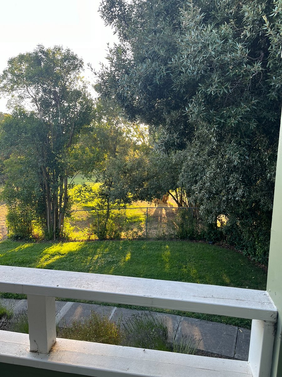 View from the master bedroom
