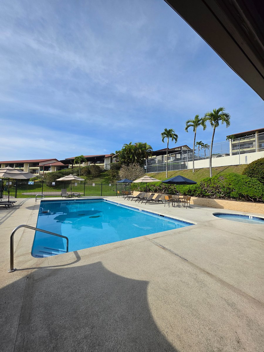 Furnished Finder property 896705_1 photo 9