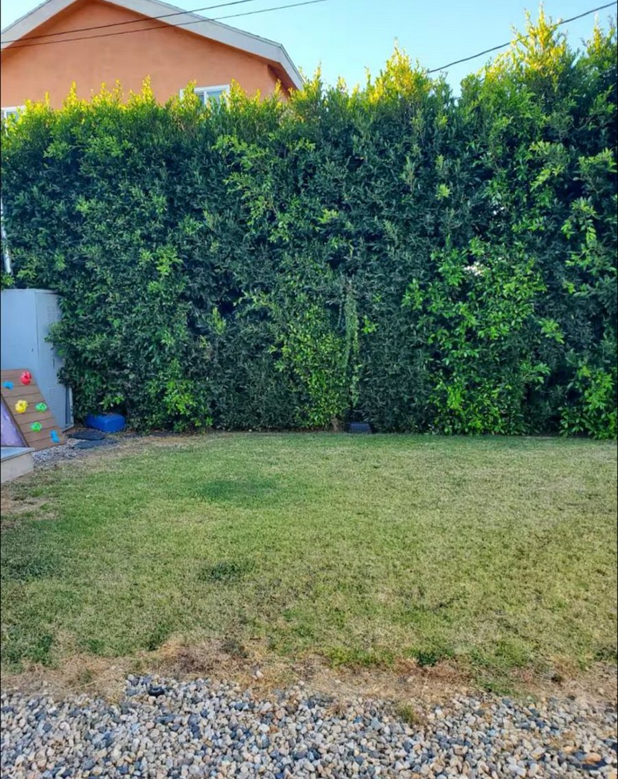 Furnished Finder property 896732_1 photo 38