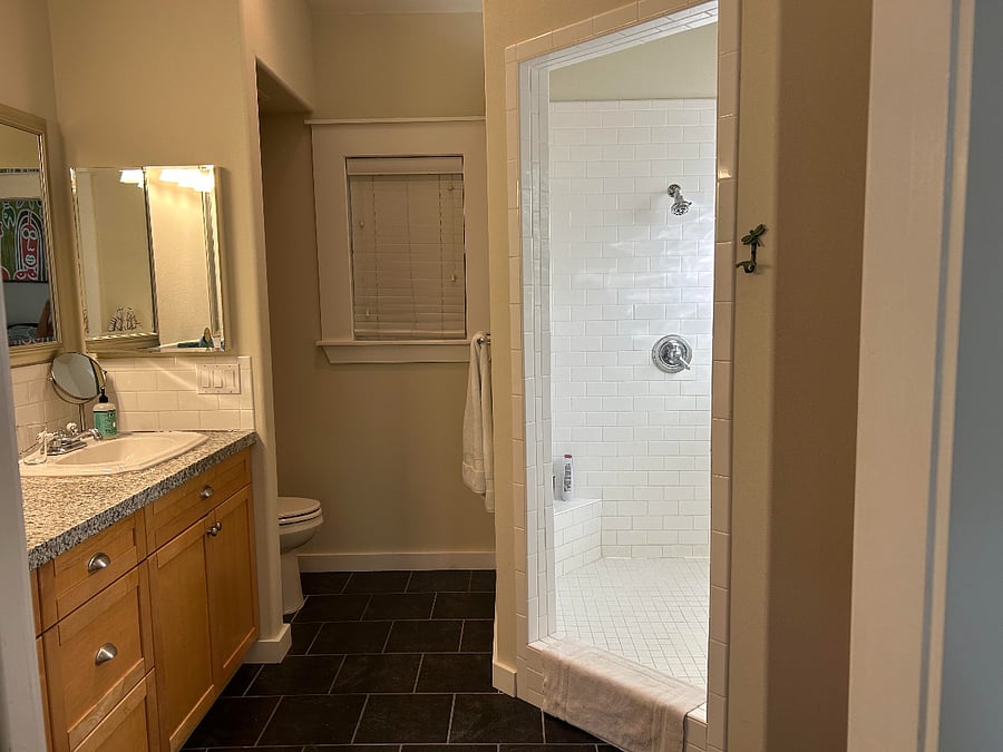 Primary suite bathroom with double shower head and double vanity.