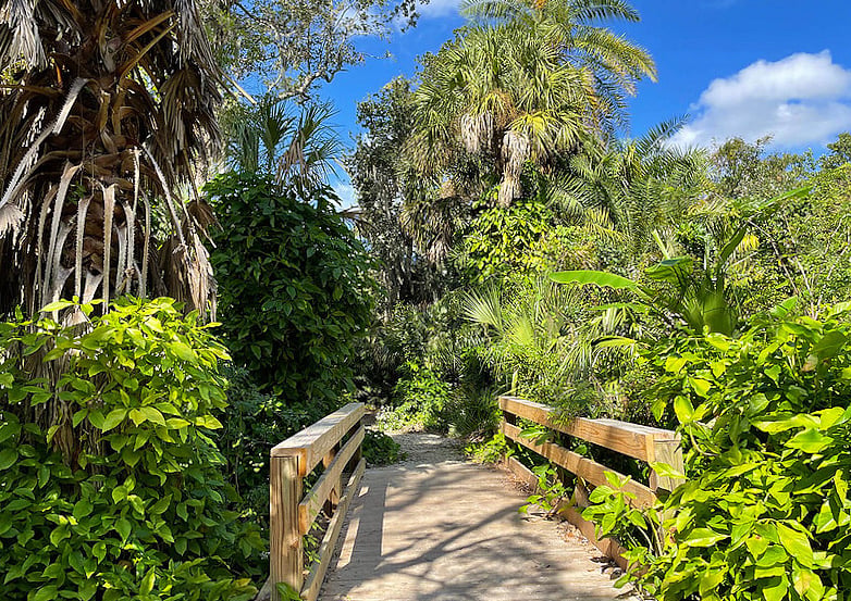 Furnished Finder property 896775_2 photo 85