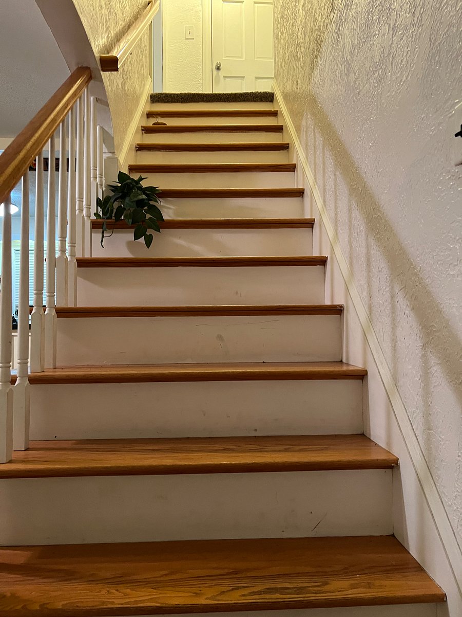 Furnished Finder property 896869_1 photo 3