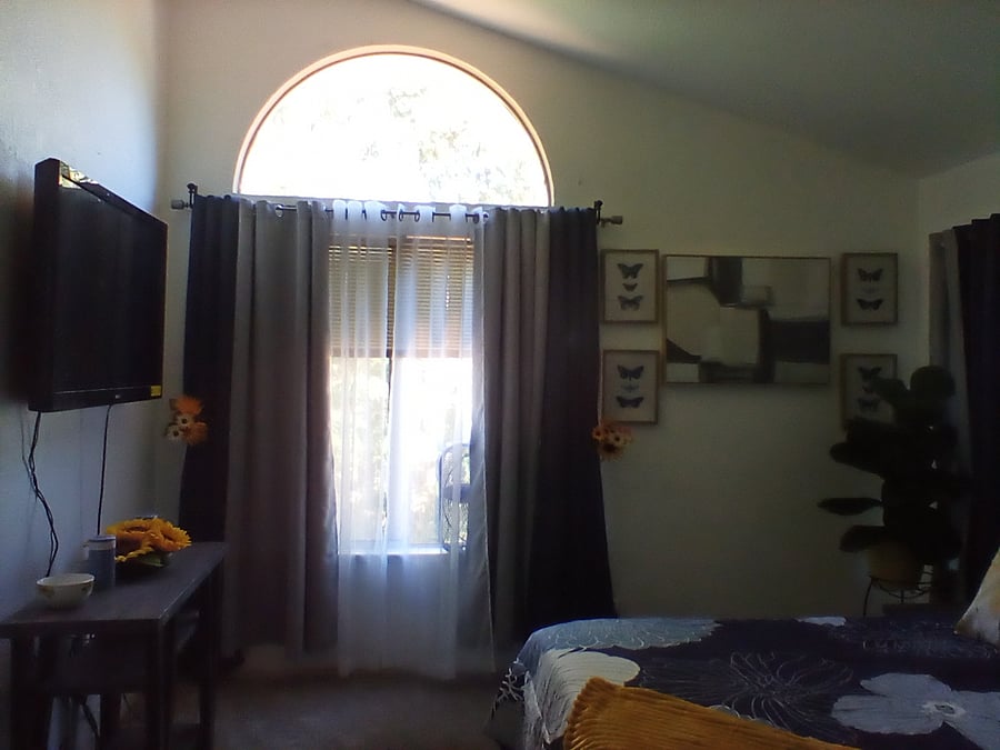 Furnished Finder property 896913_1 photo 16