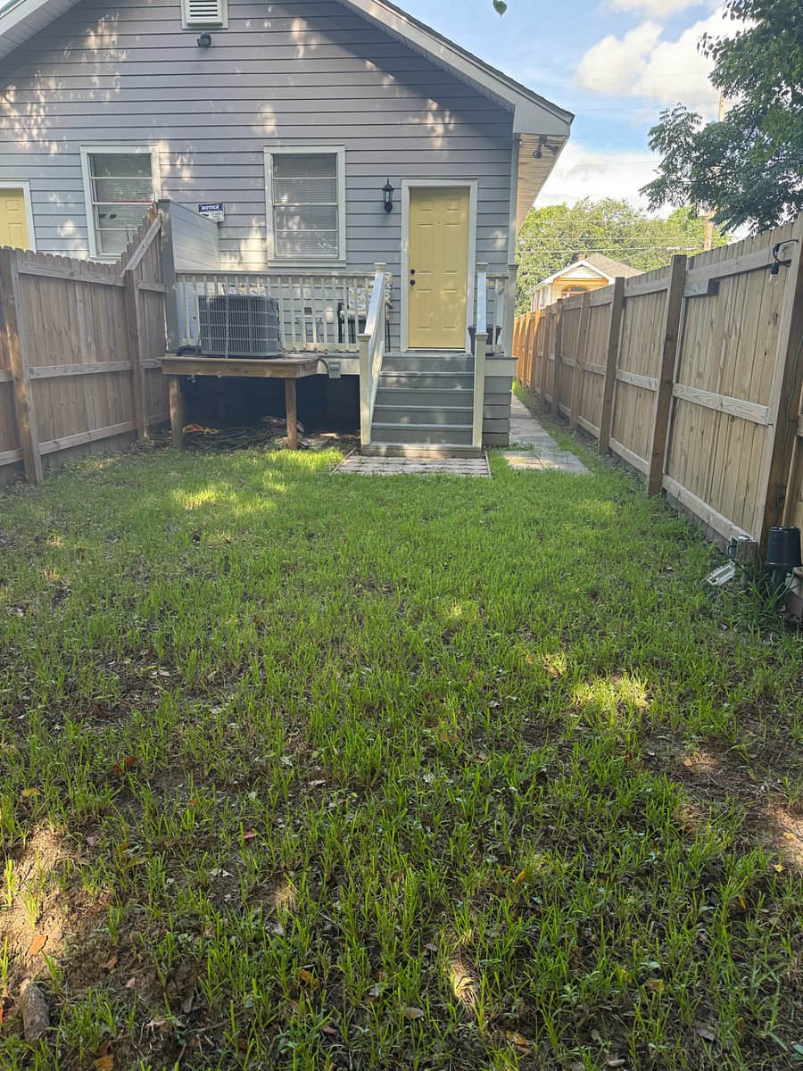 Backyard