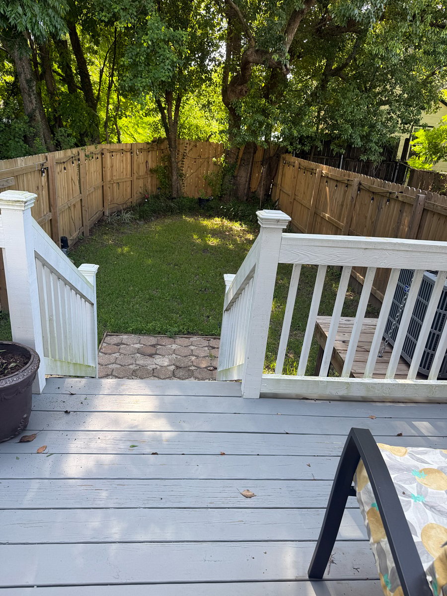 Backyard
