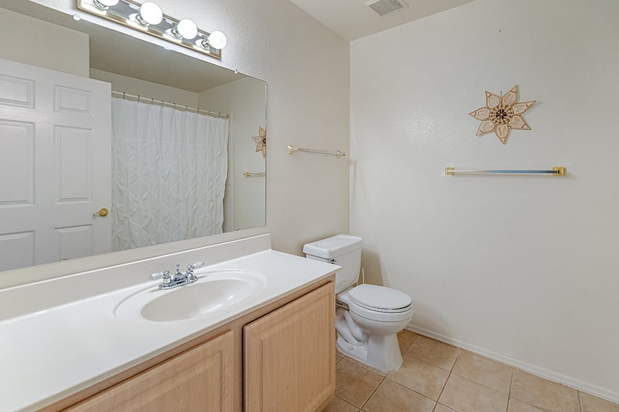 Guest Bathroom (tub/shower combo)