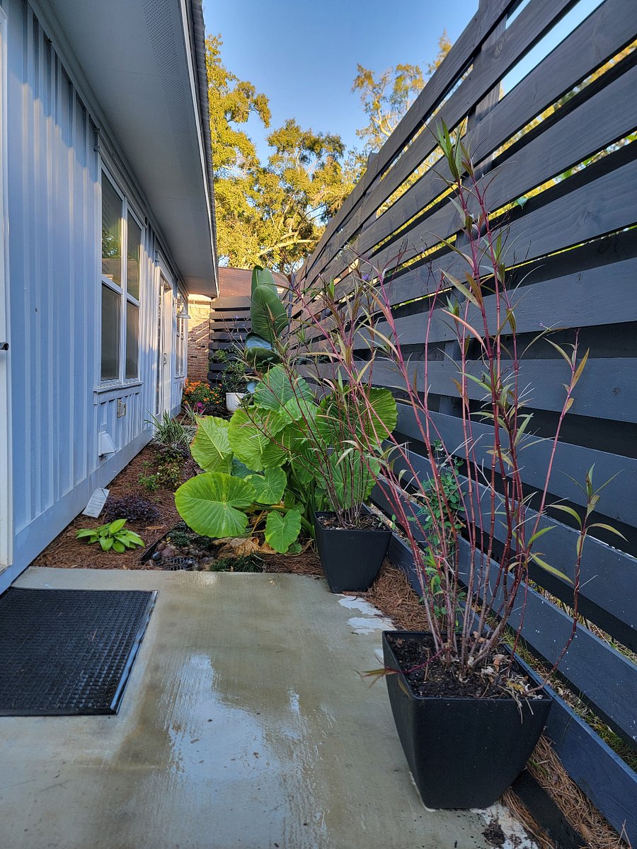 Lush landscaping and fence for privacy