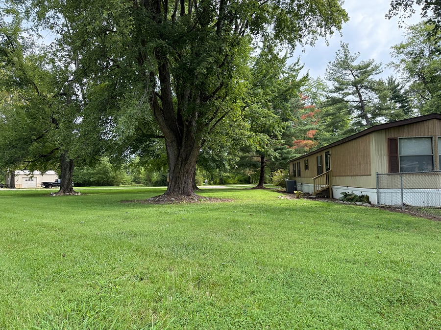 LARGE YARD