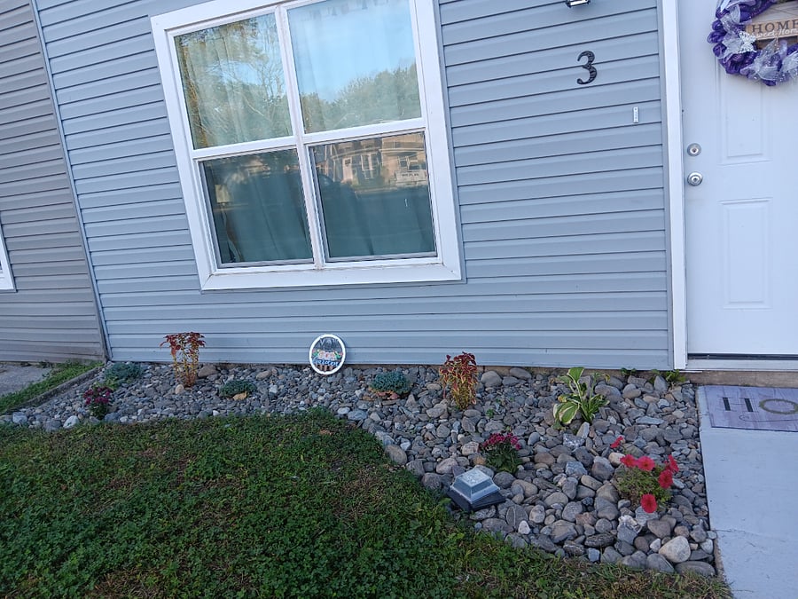 Furnished Finder property 897589_1 photo 11