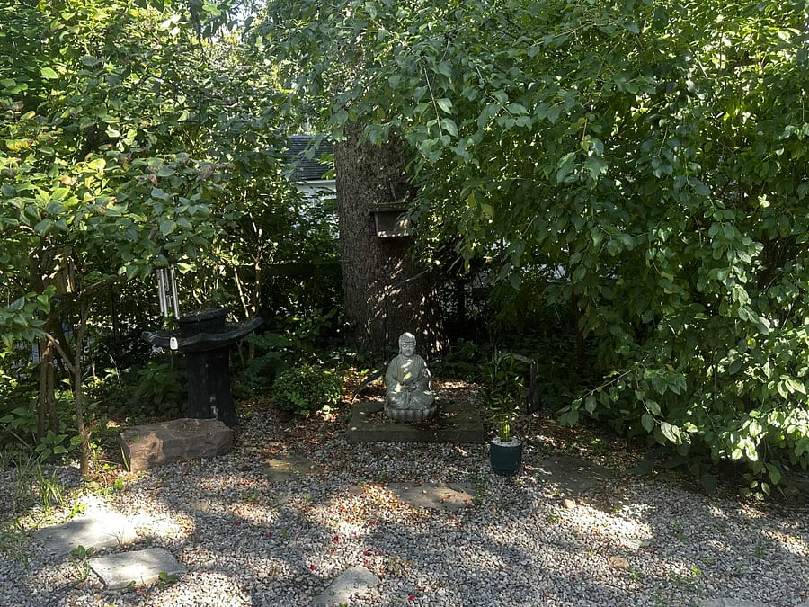 peaceful private back-yard