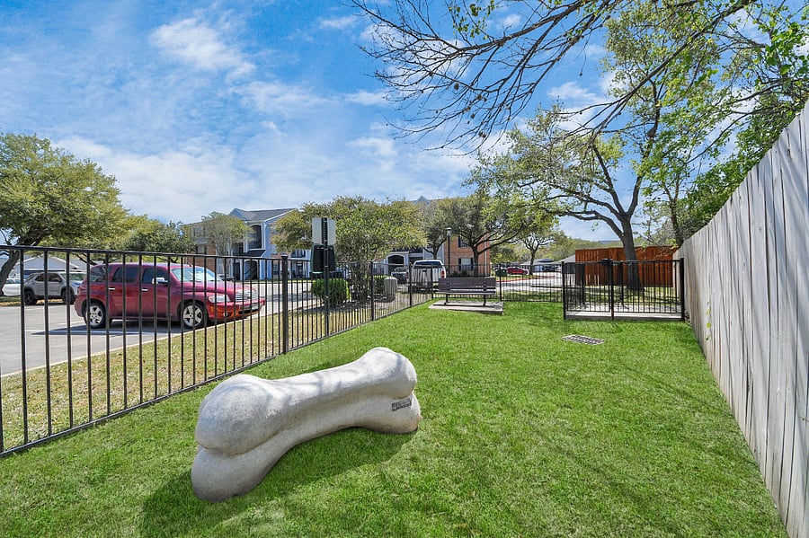 Community Dog Park