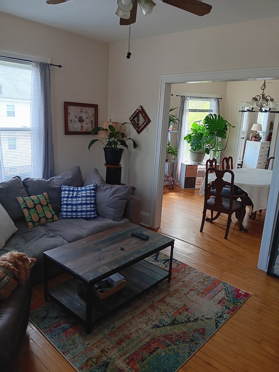 Furnished Finder property 897703_1 photo 5