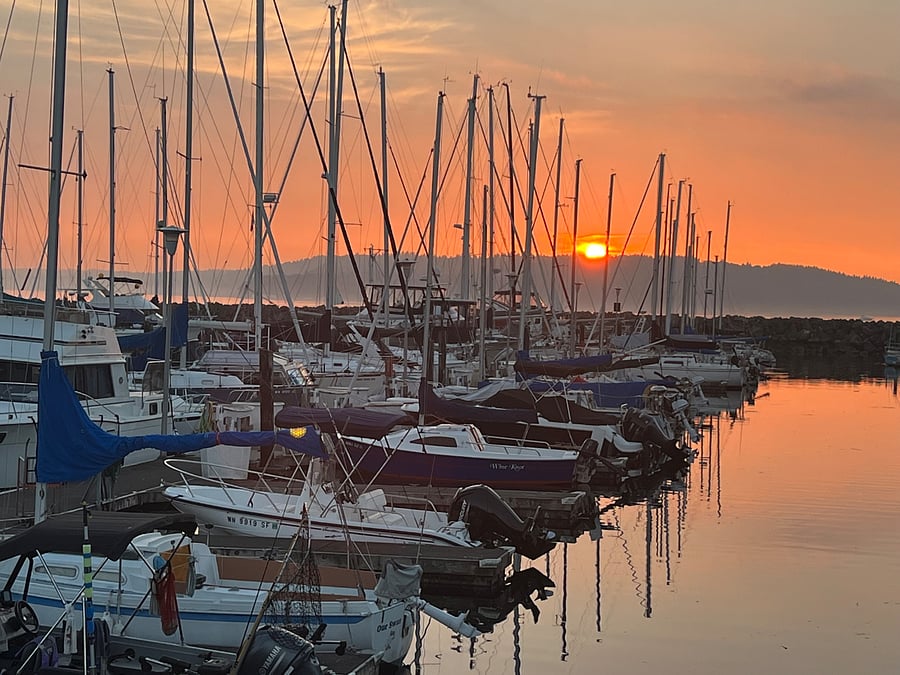 local marina