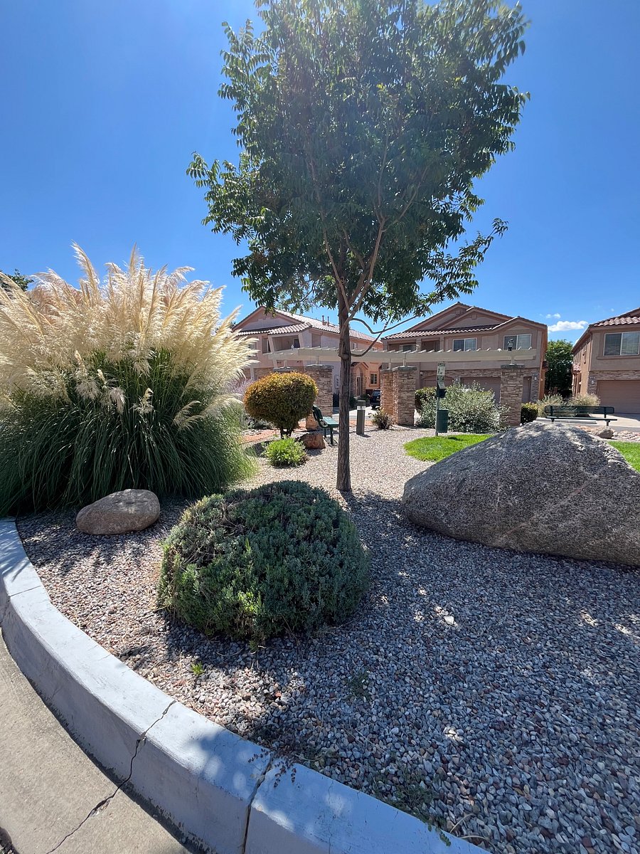Furnished Finder property 897752_1 photo 13