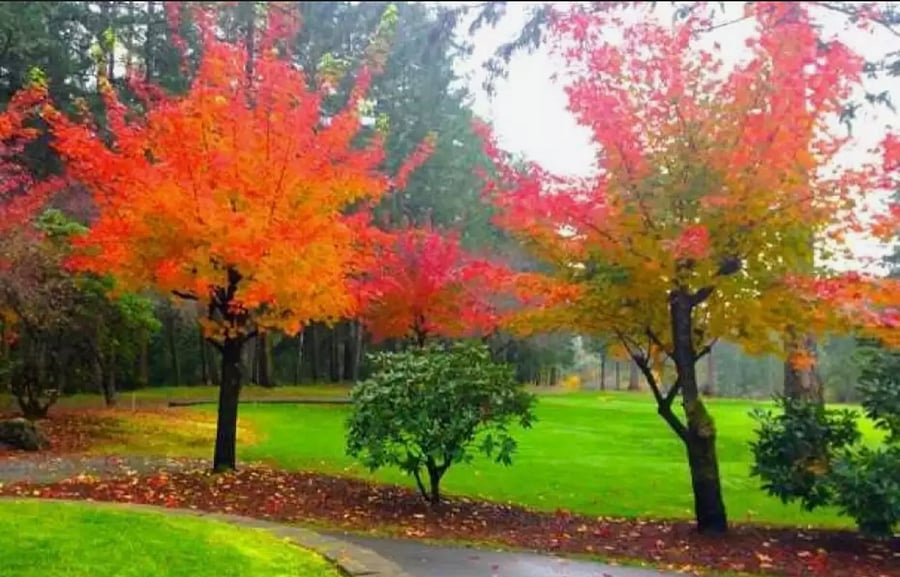 Soak in nature on walks through the neighborhood and golf course pathways!