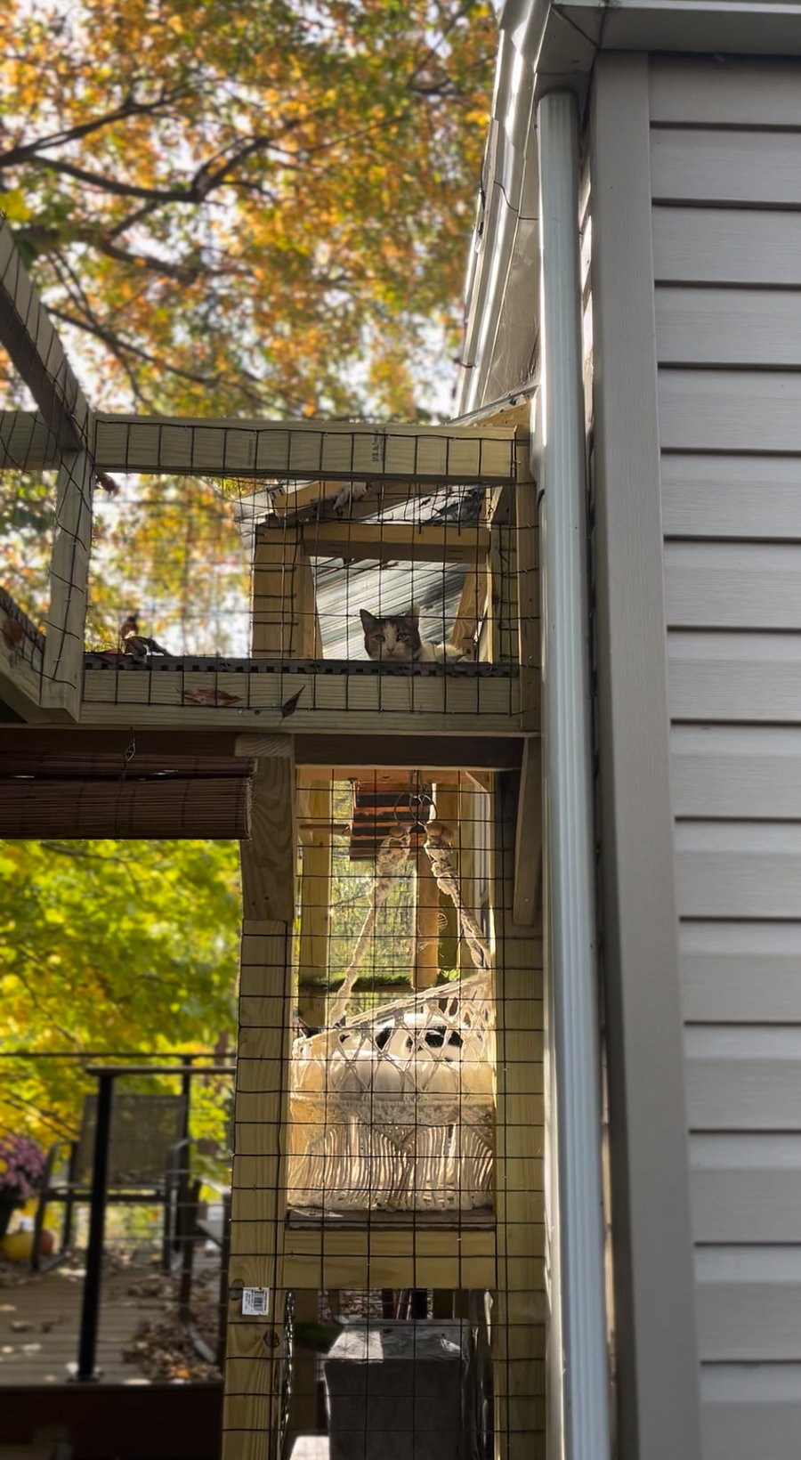 A custom-built catio for your cat to enjoy the outdoors safely (cats not included)