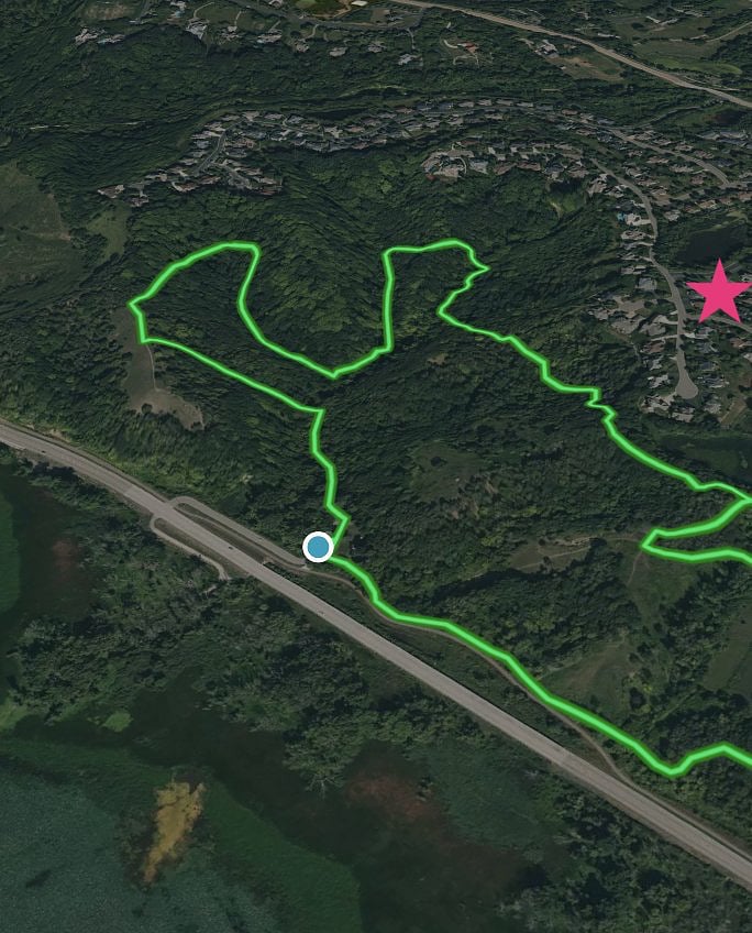 Amazing hiking, walking, and running trails steps from the house, overlooking the Minnesota River Valley.