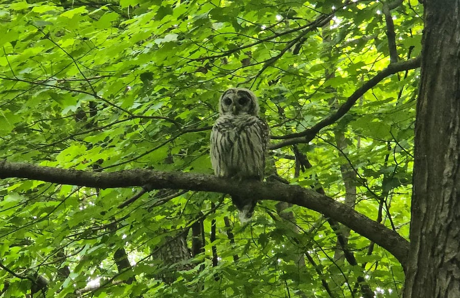 Lots of beautiful nature on this fantastic nature preserve.