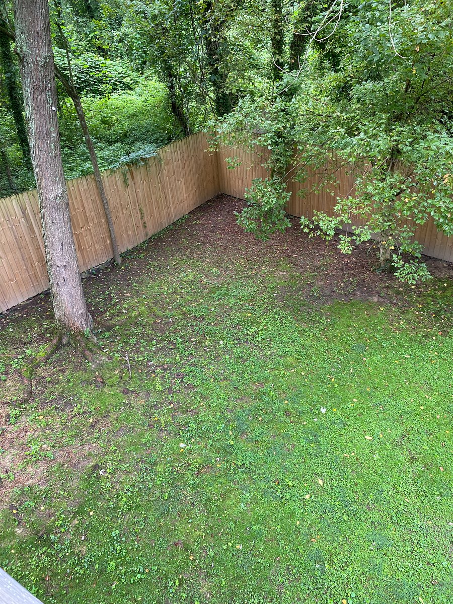 Furnished Finder property 898173_1 photo 11