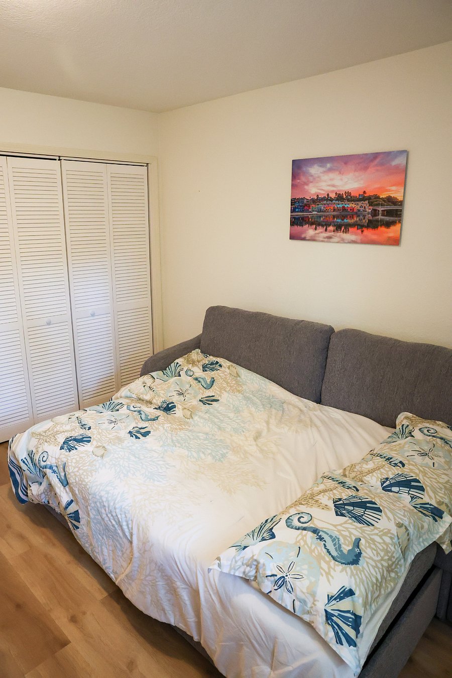 Optional Single Bedroom has a closet and spacious dresser.