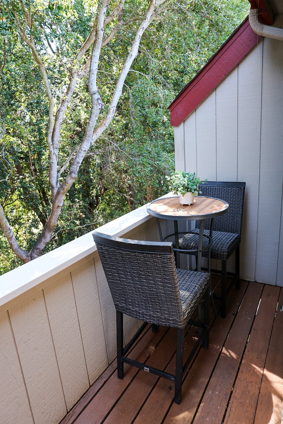 Balcony off Master bedroom, sunlight streaming through beautiful forest views
