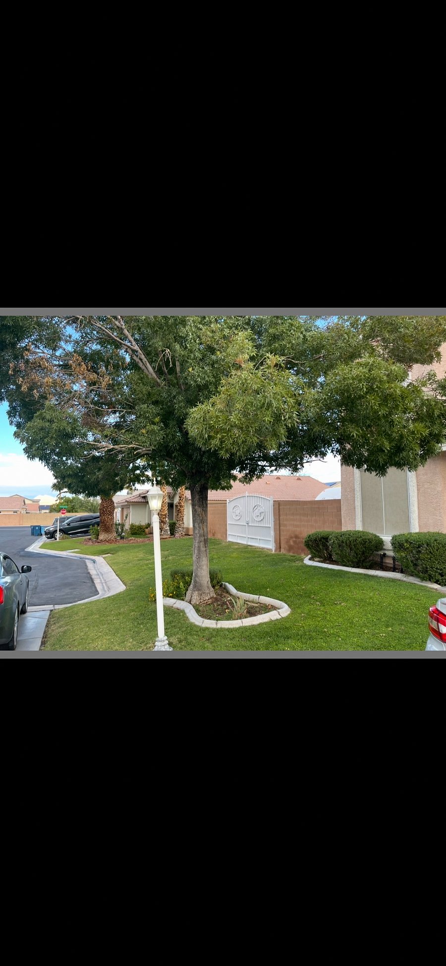 Furnished Finder property 898206_1 photo 16