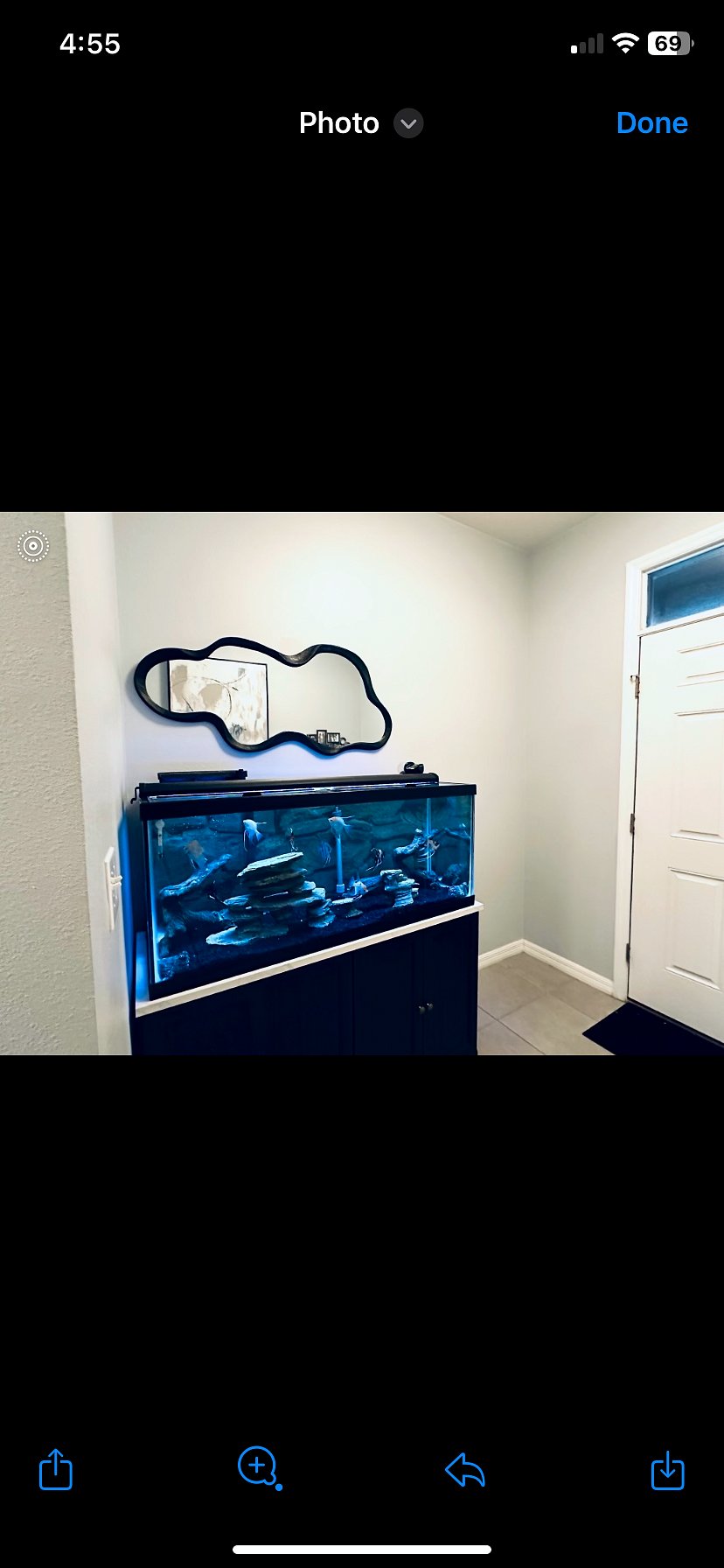 Fish tank view at entrance