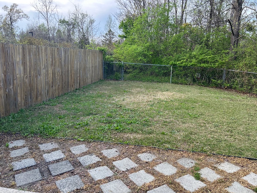 Fenced Yard