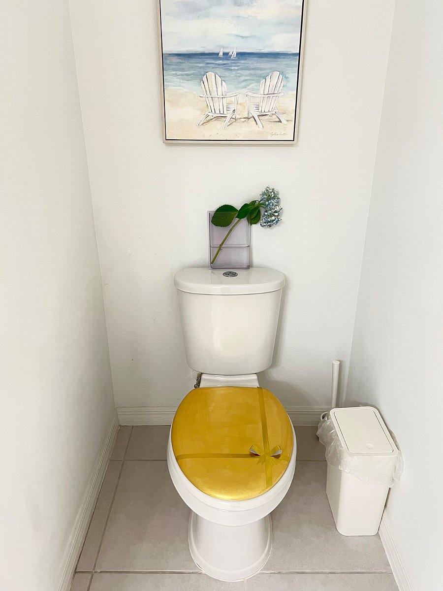 Golden toilet for king & queen;)