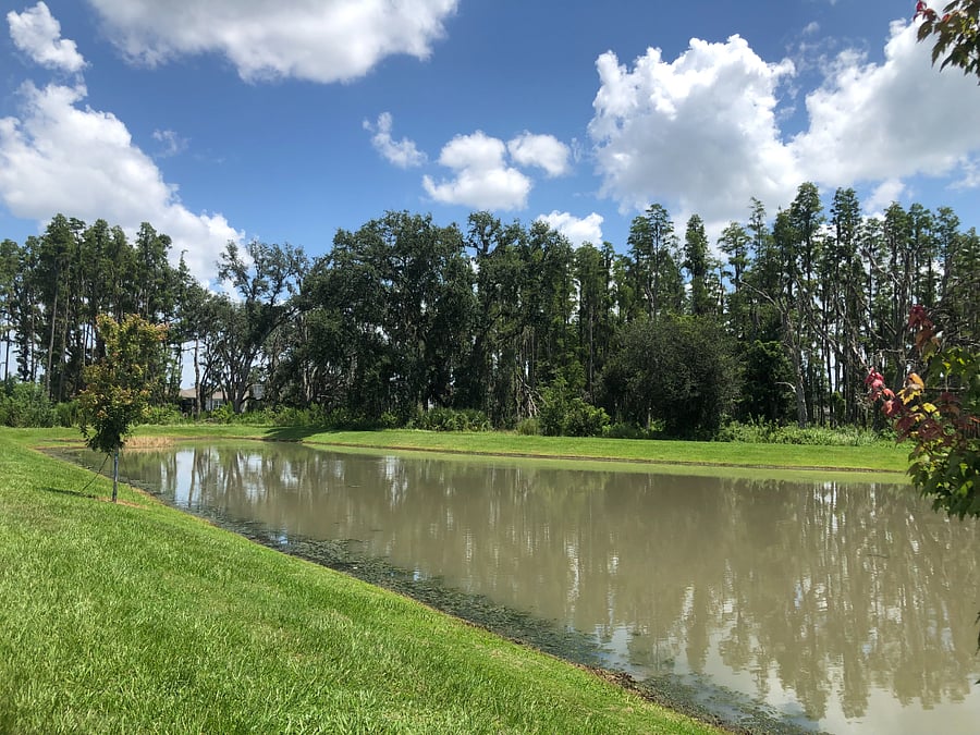 The neighborhood has multiple conservation areas.