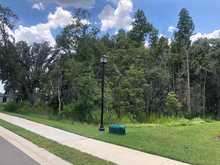 The neighborhood has multiple conservation areas.
