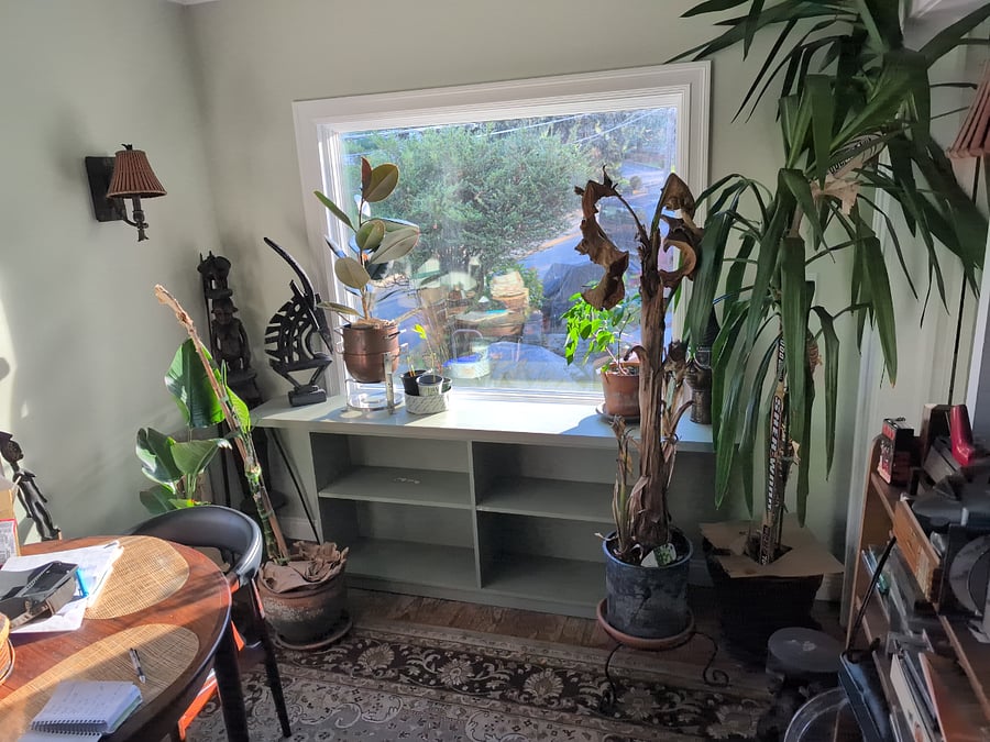 Furnished Finder property 898404_1 photo 9