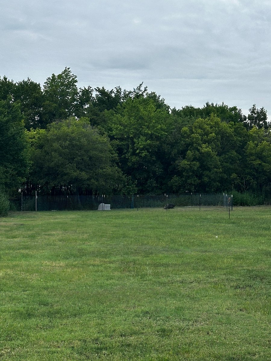 On site dog park.