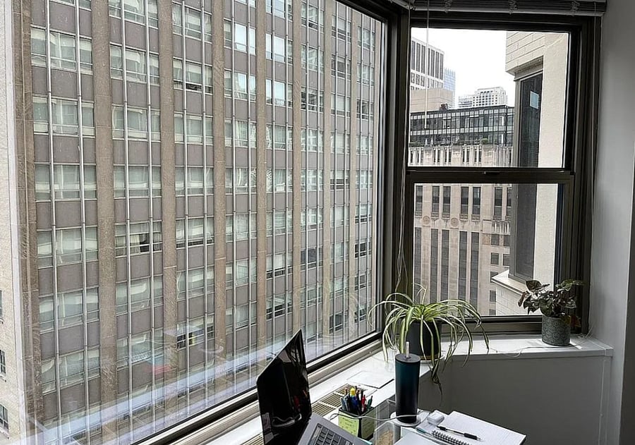 Living room window