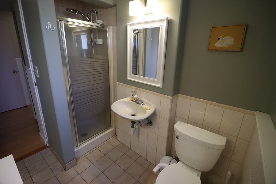Downstairs Bathroom 2