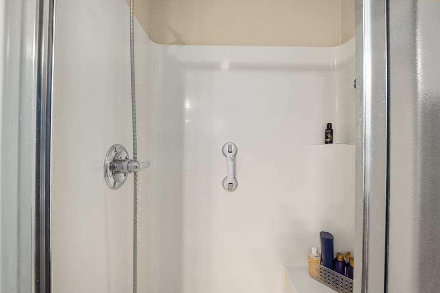 Primary BR shower