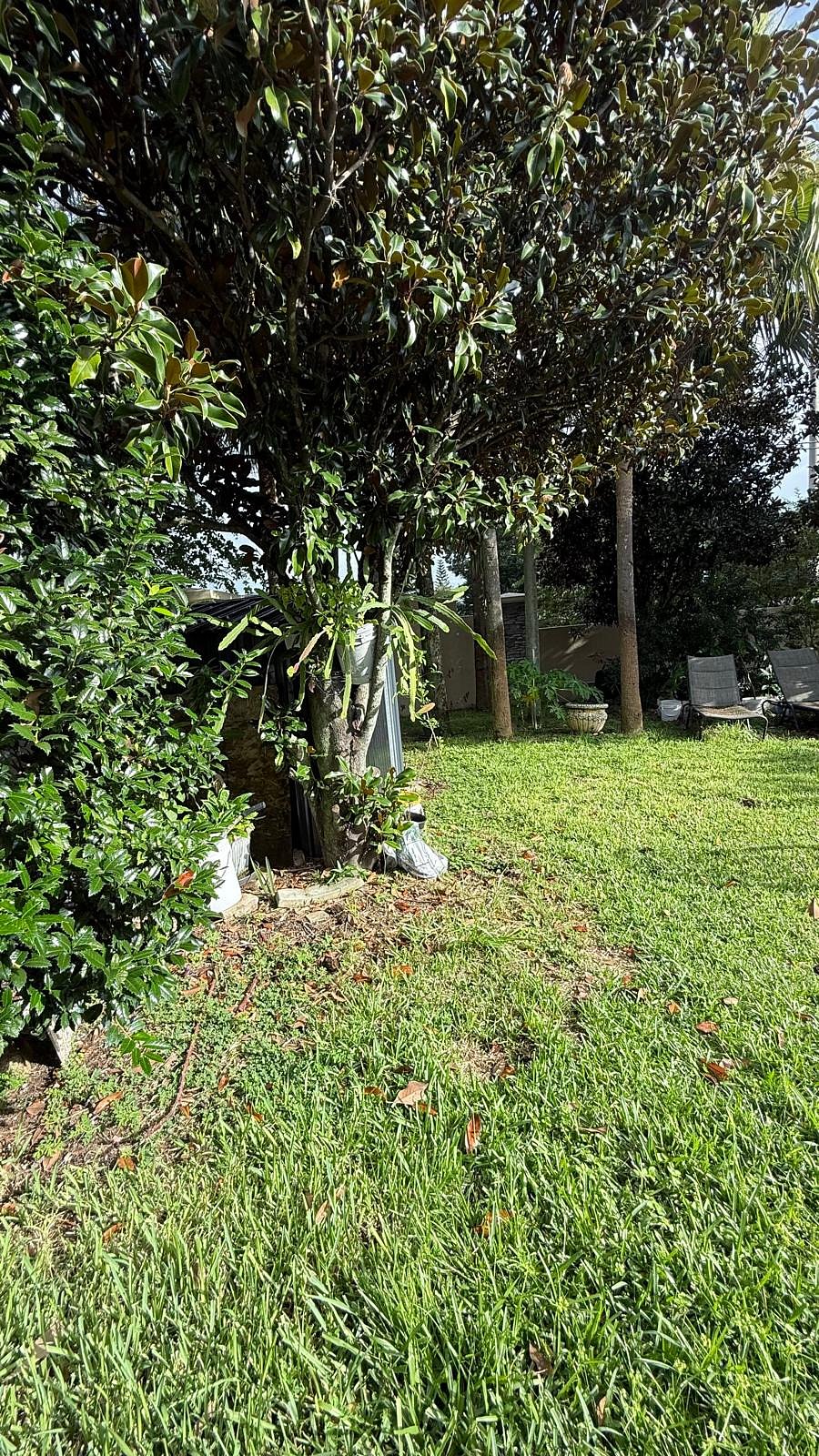 Furnished Finder property 898628_1 photo 26