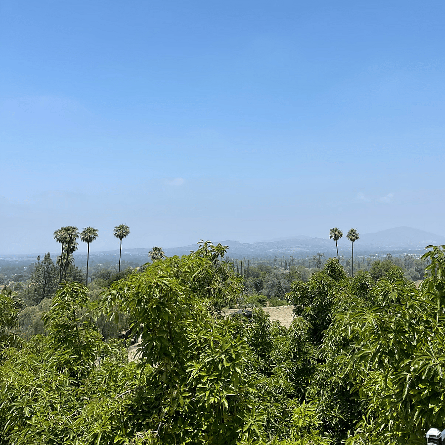 Furnished Finder property 898702_1 photo 26