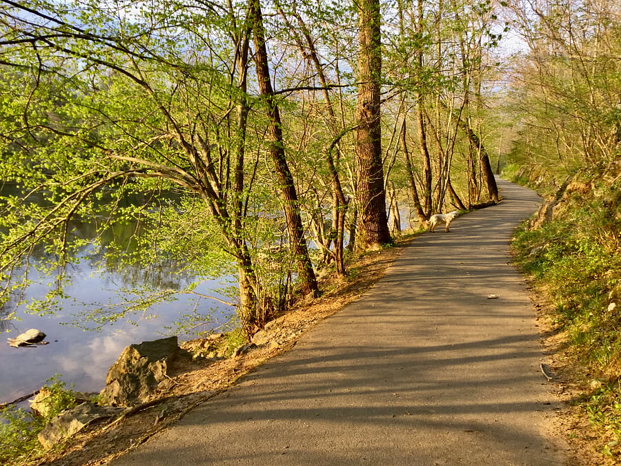 Greenbelt river trail