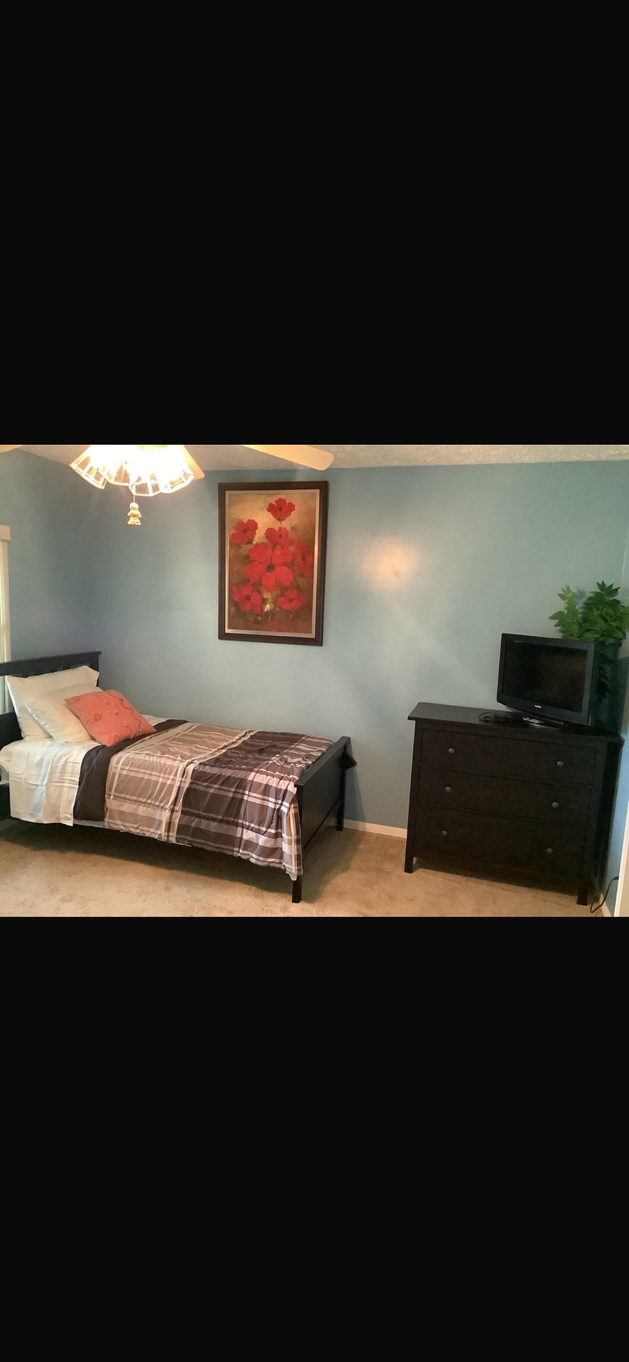 Furnished Finder property 899004_1 photo 8