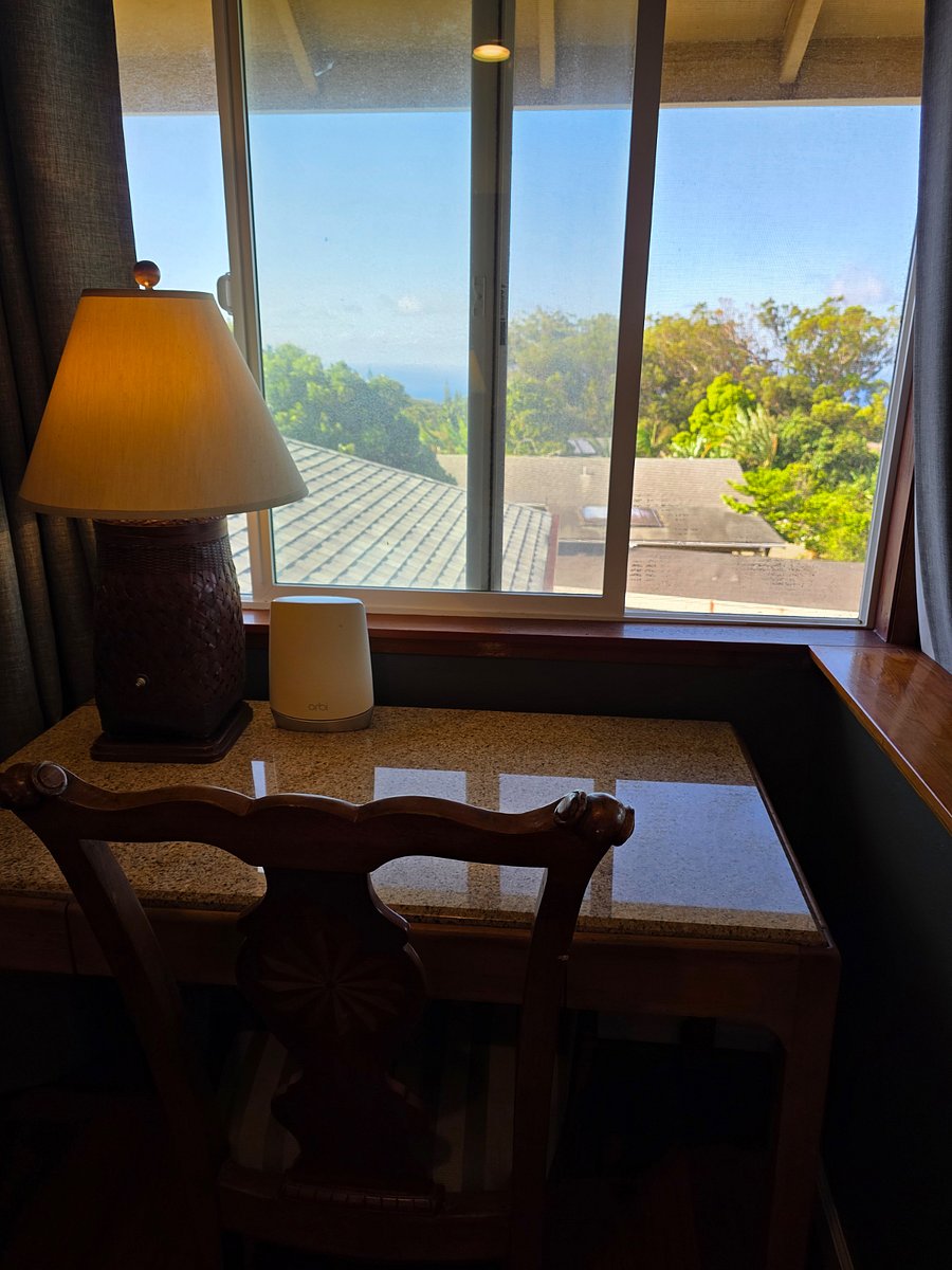 View from desk