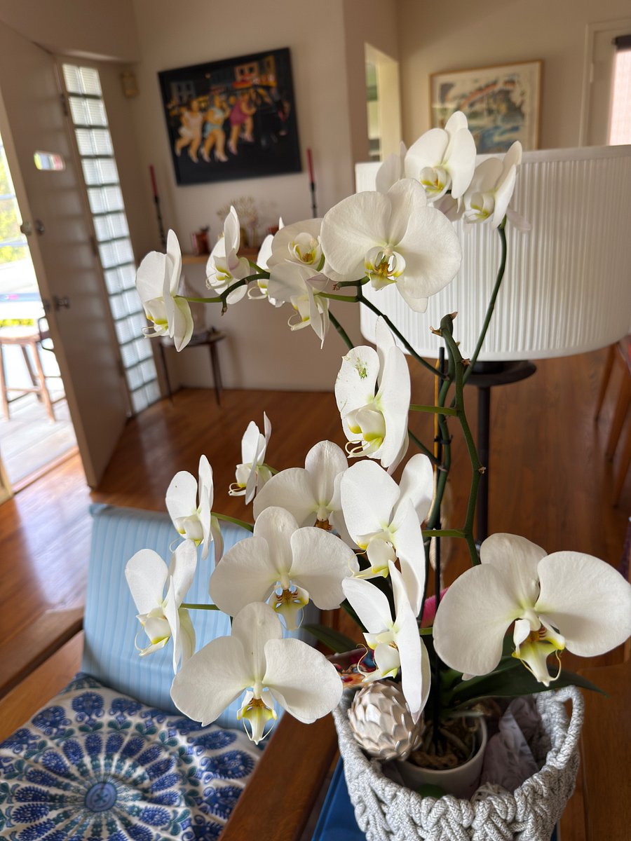 Furnished Finder property 899096_1 photo 7