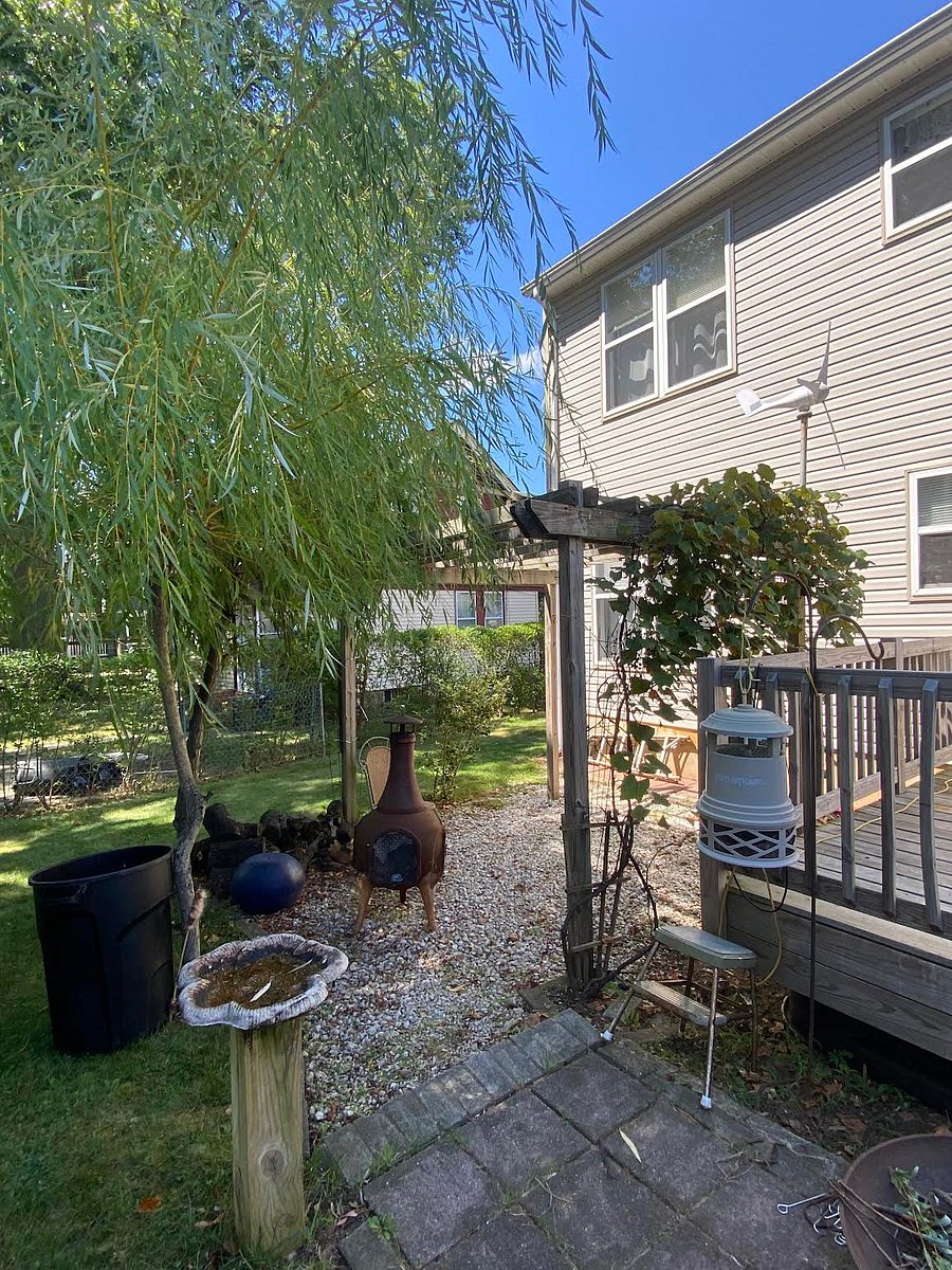 Furnished Finder property 899136_1 photo 6