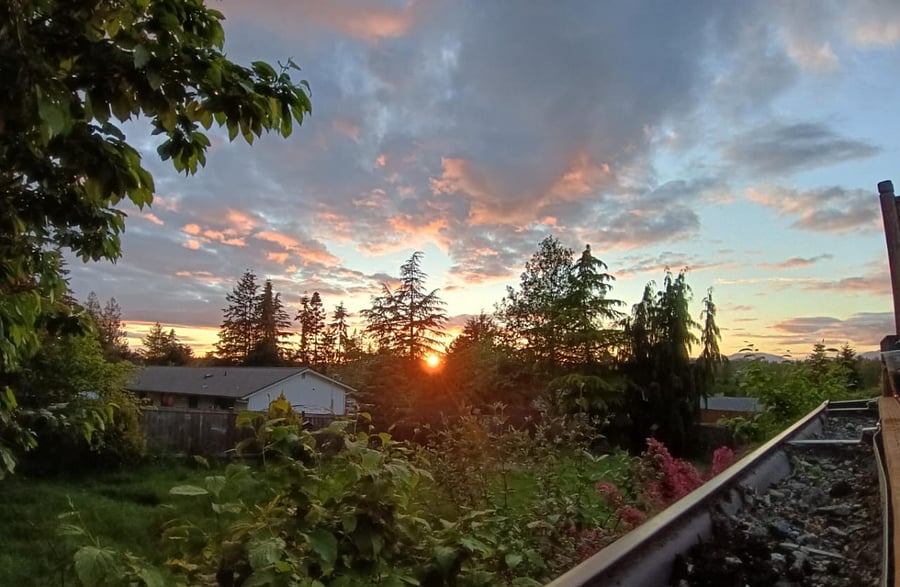 Full access to spacious backyard & garden