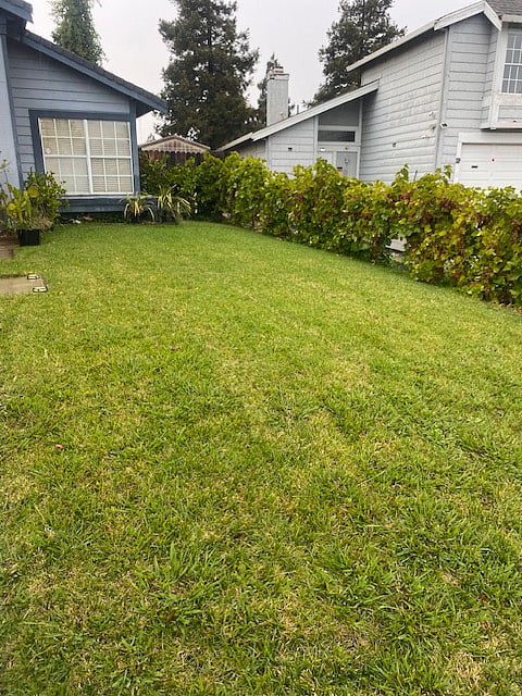 Furnished Finder property 899345_2 photo 9