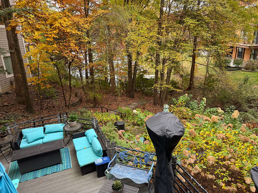 the view of the lake