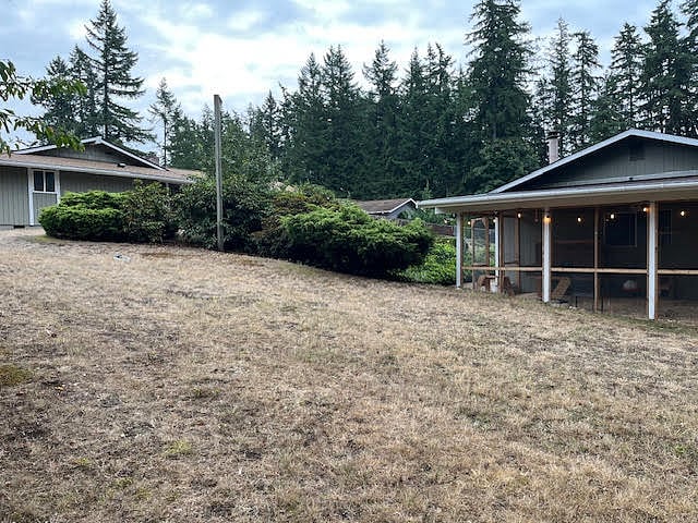 A section of the backyard where the chickens live.