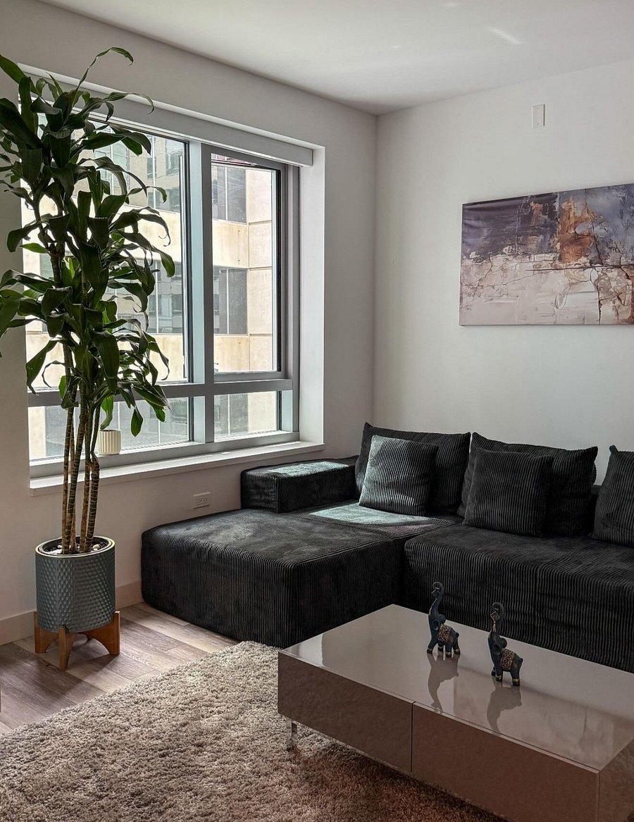 Furnished Finder property 899486_1 photo 6