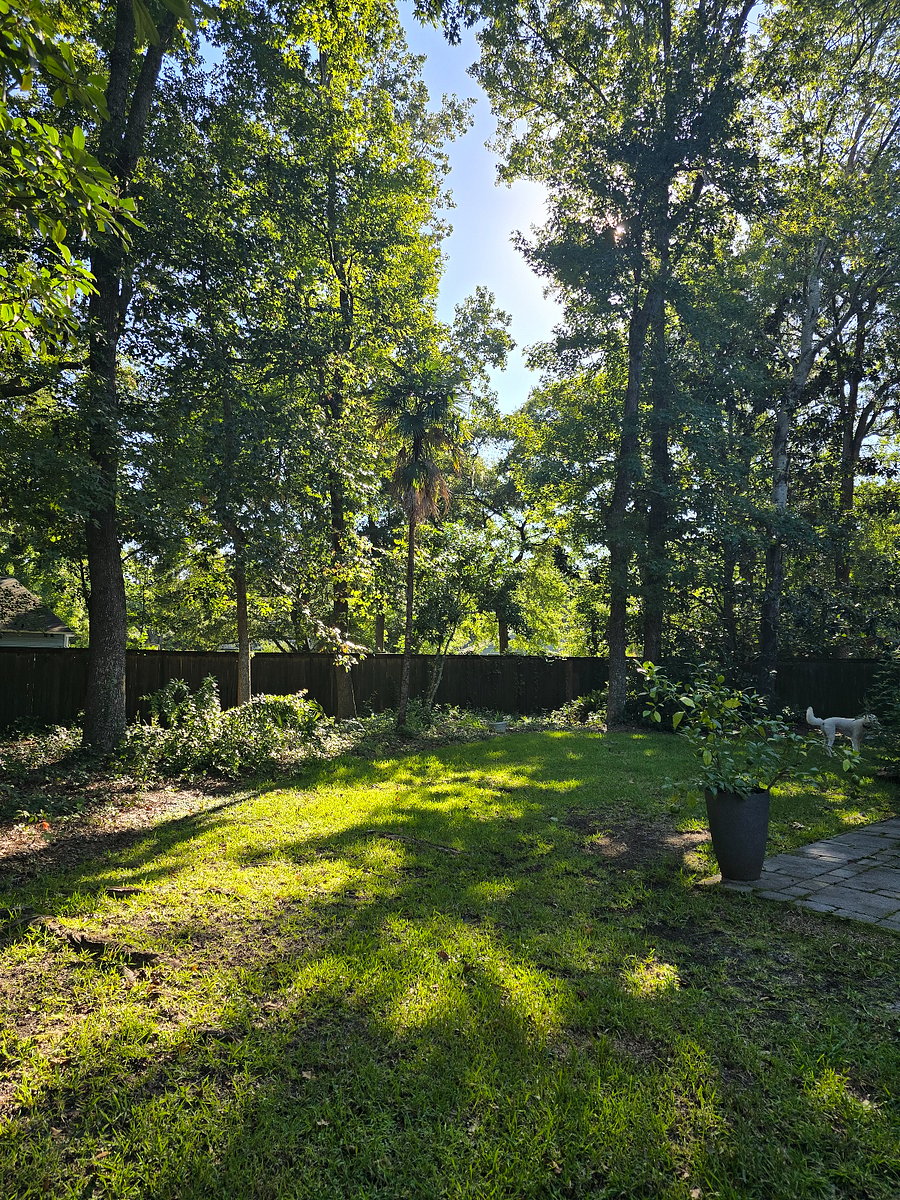Beautiful backyard