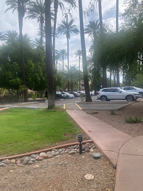 1 of 2 open grass areas